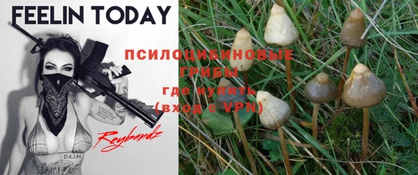 стафф Пролетарск