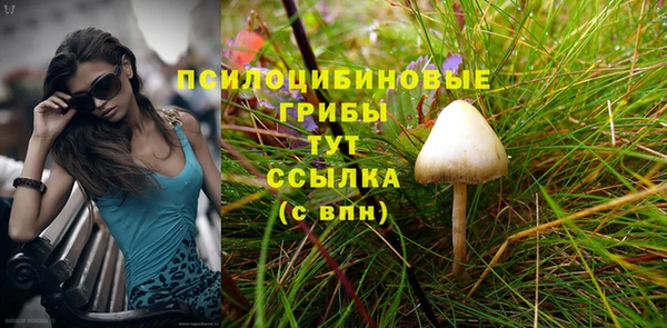 стафф Пролетарск